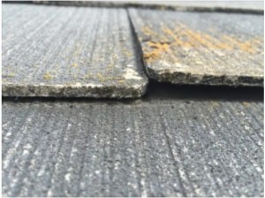 屋根塗装　耐用年数