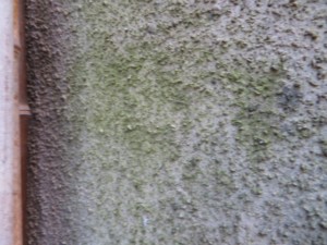 埼玉県上尾市　外壁塗装　ナノコンポジット