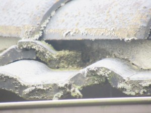 埼玉県　外壁屋根塗装