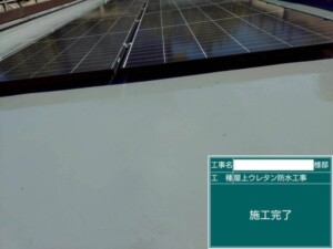 埼玉県さいたま市 カナリアホーム 外壁塗装 屋根工事 人気