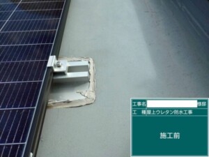 埼玉県さいたま市 カナリアホーム 外壁塗装 屋根工事 人気