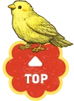 ページ_トップリンク