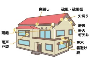 塗装　場所