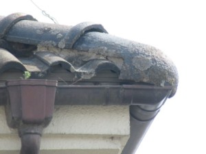 さいたま市　雨漏り　修理