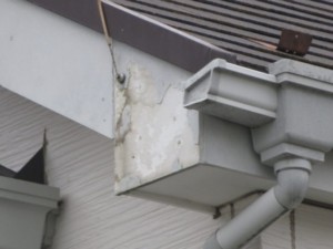 外壁塗装　さいたま市