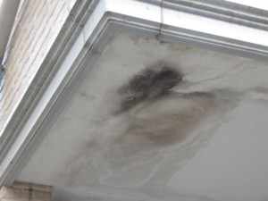 さいたま市　外壁　屋根　塗装　フッ素