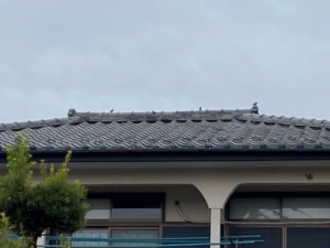 埼玉県熊谷市　屋根　漆喰補修