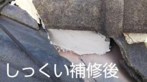 埼玉県羽生市　屋根塗装