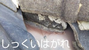 埼玉県羽生市　屋根塗装