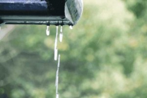 雨漏り修理　業者