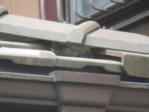 埼玉県熊谷市　漆喰詰め直し