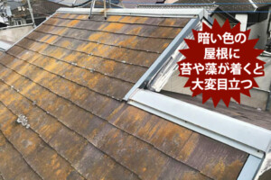 屋根塗装　色選び