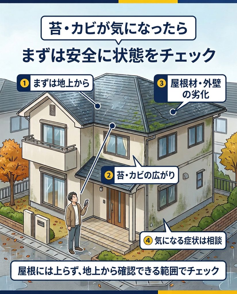 地上から屋根や外壁の苔・カビを確認する住宅点検